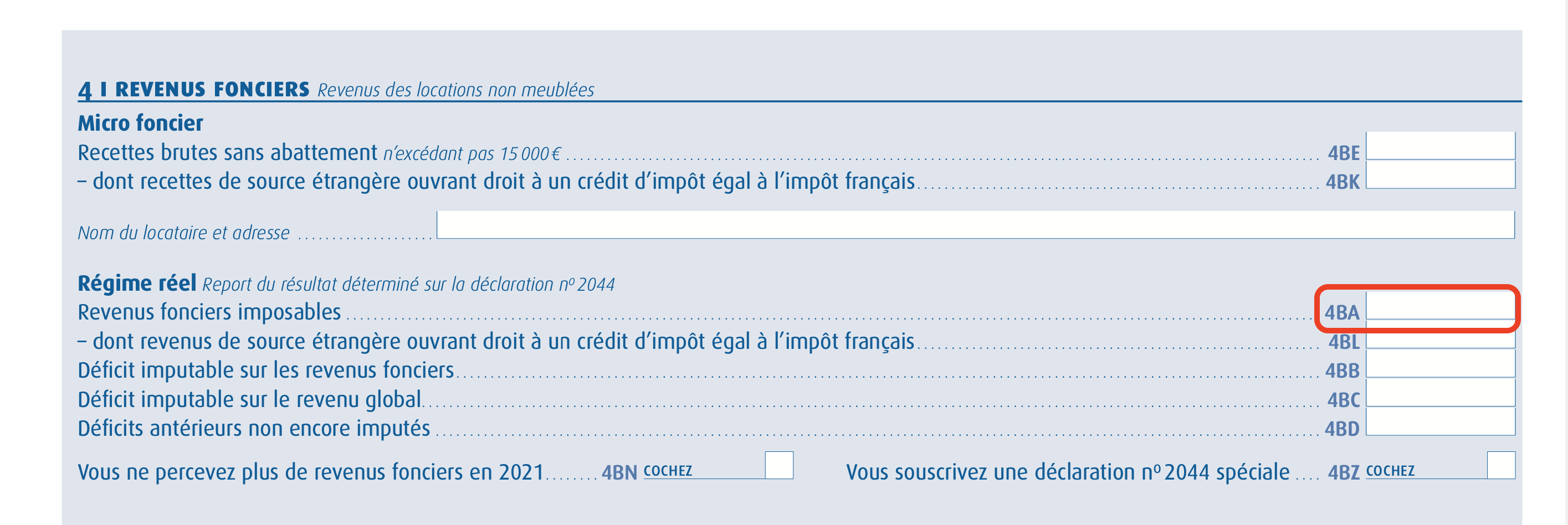 revenus fonciers déclaration fiscale pinel